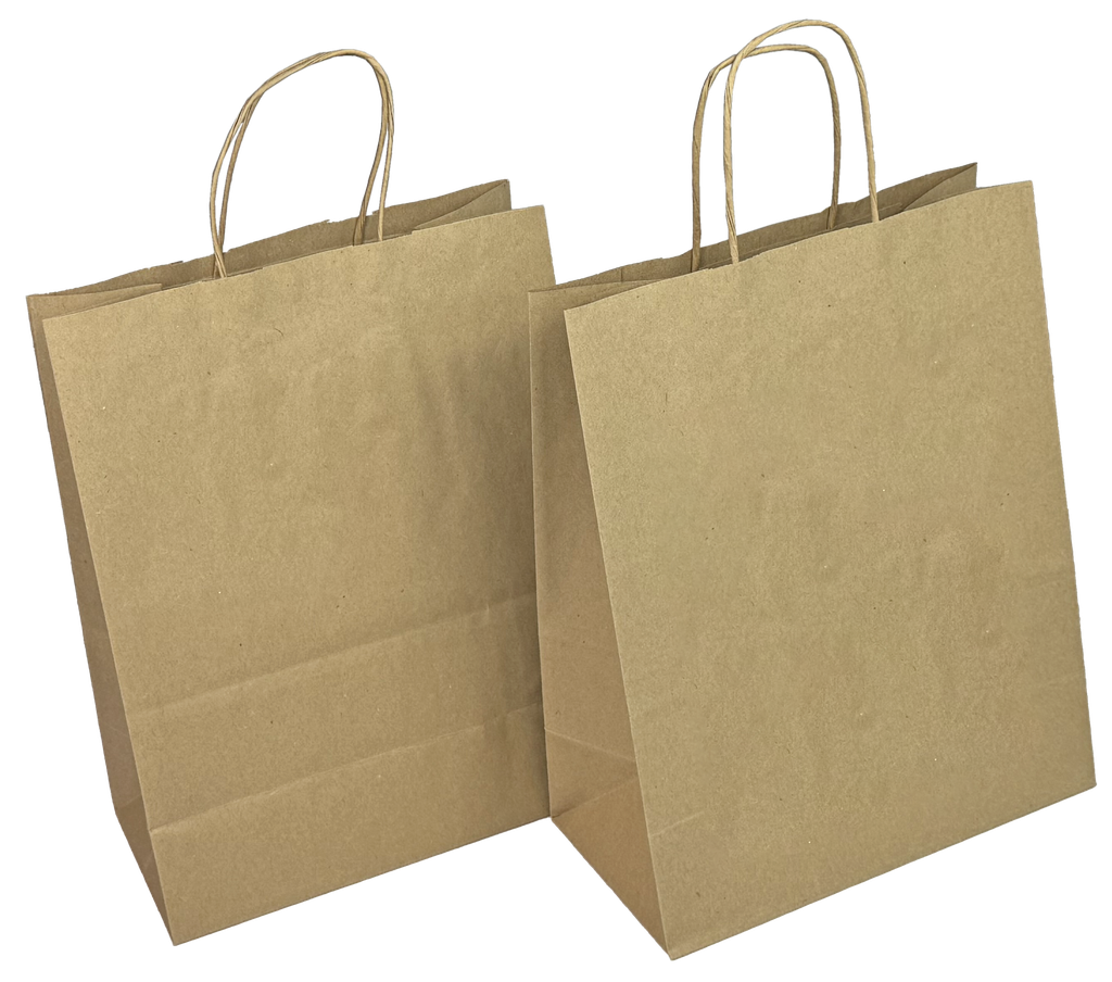 BOLSA PAPEL MEDIANA (M) 24X12X31