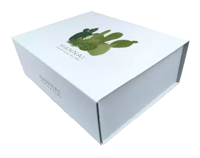 [23002823] CAJA LUJO S