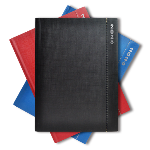 AGENDA SKYPE 24DP 2026